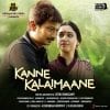 Kanne Kalaimaane Tamil Ringtones Bgm Download 2019